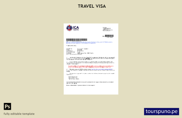 Plantilla de carta de aprobación de visa de Singapur lista para imprimir en form